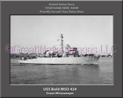 USS Bold MSO 424 Personalized and Printed on Canvas