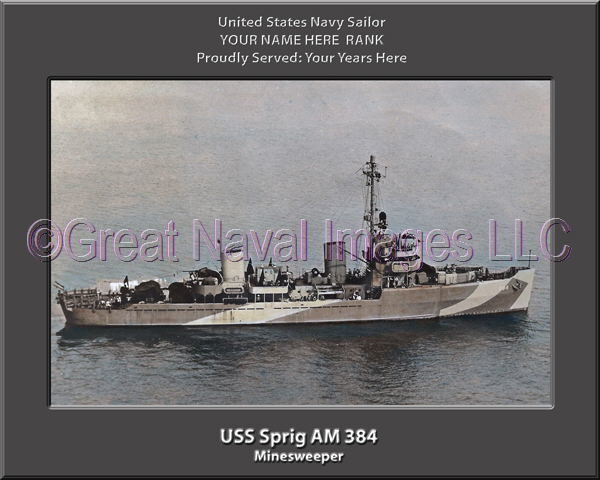 USS Sprig AM 384 Personalized Photo on Canvas
