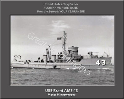 USS Brant AMS 43 Personalized Navy Ship Photo